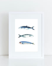 Load image into Gallery viewer, Freddy, Fin and Fiona the Fish