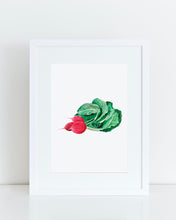 Load image into Gallery viewer, Robbie Radish