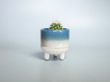 Load image into Gallery viewer, Welsh Gift Box