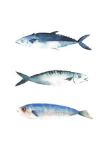 Load image into Gallery viewer, Freddy, Fin and Fiona the Fish