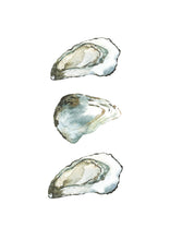 Load image into Gallery viewer, Olivia, Ollie and Orla the Oyster Shells