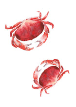 Load image into Gallery viewer, Charlie & Connie the Crabs