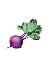 Load image into Gallery viewer, Beatrice Beetroot