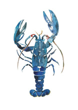 Load image into Gallery viewer, Lewis the Lobster