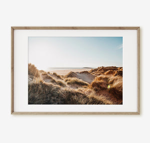 Rhossili Sand Dunes