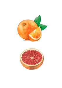 Oscar Orange & Gracie Grapefruit