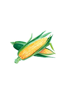 Cathy Corn