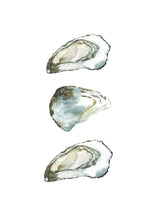 Load image into Gallery viewer, Olivia, Ollie and Orla the Oyster Shells
