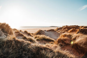 Rhossili Sand Dunes